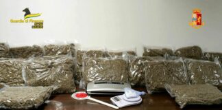Gdf di Trento smantella traffico di droga, 46 misure cautelari