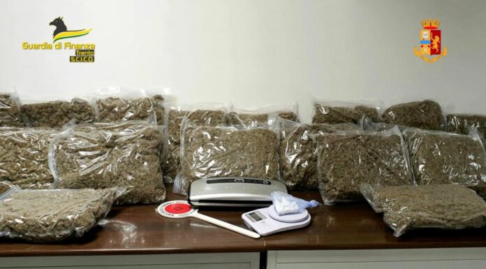 Gdf di Trento smantella traffico di droga, 46 misure cautelari