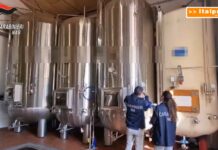 Controlli dei Nas, sequestrati 300 mila litri di vini e multe per 290 mila euro
