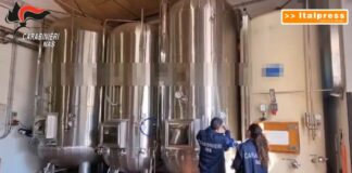 Controlli dei Nas, sequestrati 300 mila litri di vini e multe per 290 mila euro