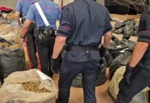 Sequestrate nel reggino tre tonnellate di cannabis