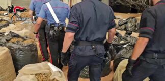 Sequestrate nel reggino tre tonnellate di cannabis