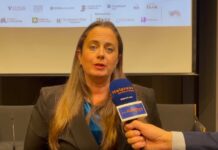 Detroit, Baistrocchi “Grande potenziale Italia, non solo automotive”