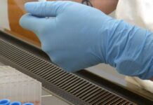 Monitorare microbiota vaginale per alleviare i sintomi della menopausa