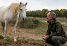 Zaia “Fiocchi rosa e azzurri per il cavallo del Delta”