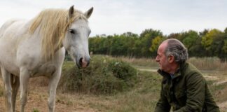 Zaia “Fiocchi rosa e azzurri per il cavallo del Delta”