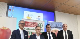 Grandine, Zannier “FVG garantirà finanziamenti a aziende per ripartire”