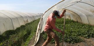 Accordo Italia-Tunisia per 4mila lavoratori anno non stagionali