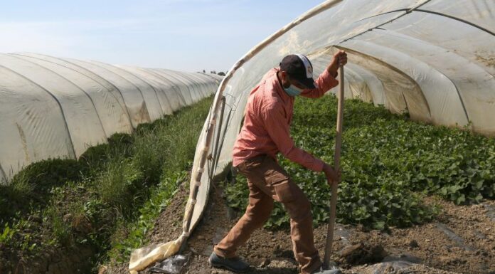Accordo Italia-Tunisia per 4mila lavoratori anno non stagionali