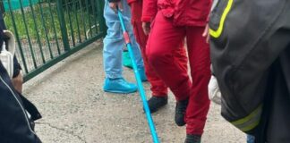 Milano, cinghiale catturato dopo un bagno in Darsena