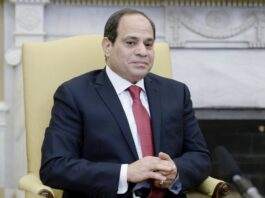 Egitto, Al Sisi riceve le lettere credenziali di 17 nuovi ambasciatori