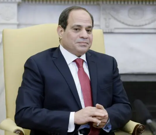Egitto, Al Sisi riceve le lettere credenziali di 17 nuovi ambasciatori