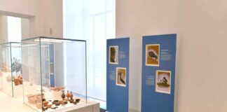 Cip, inaugurata mostra “Corpi a regola d’arte” a Reggio Calabria