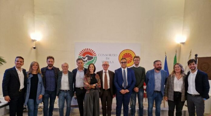Mozzarella Dop, eletto il nuovo CdA del Consorzio di Tutela