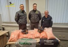 Como, in dogana con 55 chili di metanfetamine. Arrestata una donna