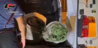 Trovato con 70 Kg marijuana e maschere da clown, arrestato nel reggino