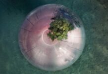 “Luca Locatelli. The Circle” – Soluzioni per un futuro possibile