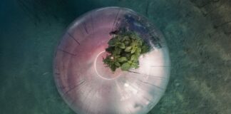 “Luca Locatelli. The Circle” – Soluzioni per un futuro possibile