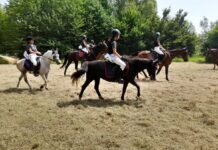 170 Eventi e 75 corsi gratuiti per “Salta Cori Zoga” e “Sprint”