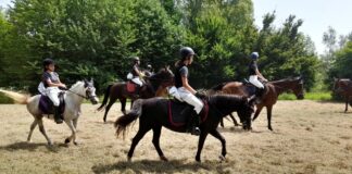 170 Eventi e 75 corsi gratuiti per “Salta Cori Zoga” e “Sprint”