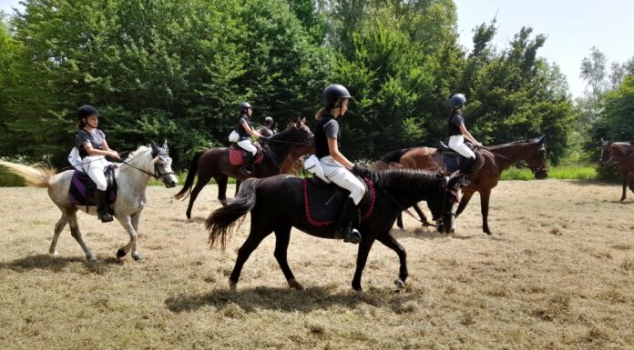 170 Eventi e 75 corsi gratuiti per “Salta Cori Zoga” e “Sprint”