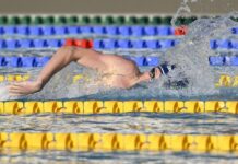 Il cervello dei nuotatori misura il tempo