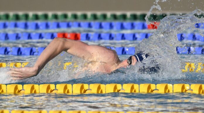 Il cervello dei nuotatori misura il tempo