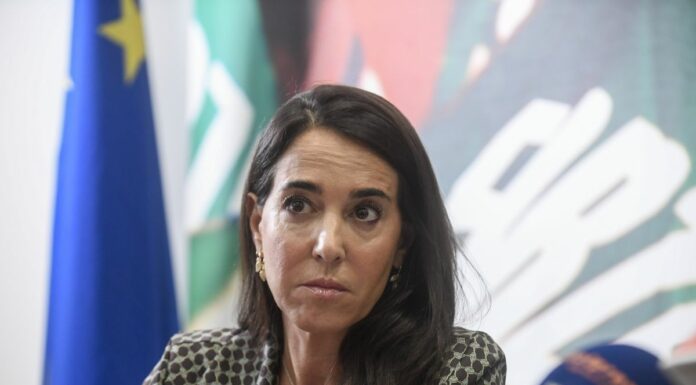 Ronzulli “Italpress da ringraziare per il suo lavoro”