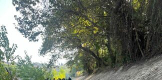 Tevere, al via i lavori per il decoro della banchina