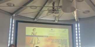 Donazzan “Salvaguardare i negozi della moda”