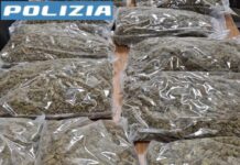 Monza, un arresto per detenzione a fini spaccio di 15 kg di marijuana