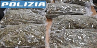 Monza, un arresto per detenzione a fini spaccio di 15 kg di marijuana