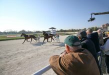 Giochi, AGISCO invia diffida alle amministrazioni e propone accordo