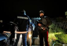 Roma, operazione antidroga misure cautelari per 12 persone