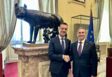 Camera, Minardo incontra il ministro della Difesa della Moldavia