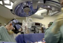 Ottobre mese record per i trapianti e le donazioni d’organo in Sicilia