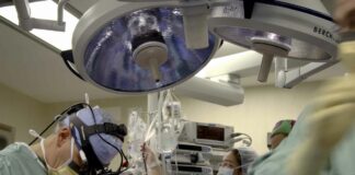 Ottobre mese record per i trapianti e le donazioni d’organo in Sicilia