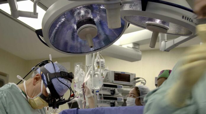 Ottobre mese record per i trapianti e le donazioni d’organo in Sicilia