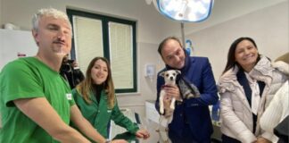 Piemonte, a Savigliano servizio gratuito veterinario per i più fragili