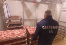 Nas sequestrano 2 tonnellate di salumi e carne a Reggio Calabria