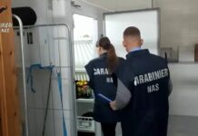 Controlli dei Nas nelle mense scolastiche, il 27% irregolari