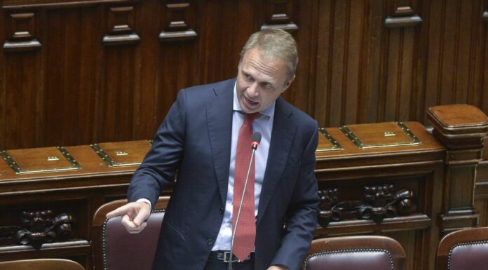 Grano, Lollobrigida “Avvio campagna per controllo filiera”