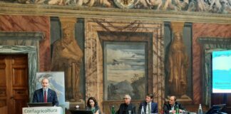 Al via Parco Italia, 70.000 alberi verranno piantati entro fine 2024