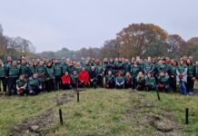 Parte da Torino il progetto per la riforestazione “Think Forestry”