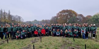 Parte da Torino il progetto per la riforestazione “Think Forestry”