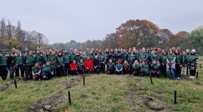 Parte da Torino il progetto per la riforestazione “Think Forestry”