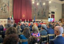 Camera celebra Giornata del Diabete, Mulè “Legge 130 traguardo storico”