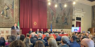 Camera celebra Giornata del Diabete, Mulè “Legge 130 traguardo storico”