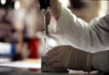 Colangite Biliare Primitiva, Ipsen annuncia risultati studio