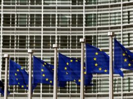 Dazi, gli eurodeputati fissano le condizioni per ridurre le tariffe sui prodotti Usa